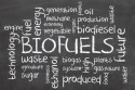 EU lawmakers ruled that biofuels can compete with food production, contribute to climate change, and put pressure on land use